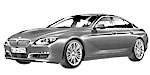 BMW F06 U1384 Fault Code