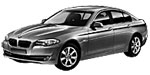 BMW F10 U1384 Fault Code